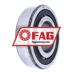 FAG NUP313-E-TVP2-C3