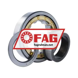 FAG NUP315-E-XL-M1-F1-C3 rulman resim 3