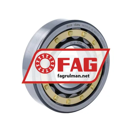 FAG NU310-E-XL-M1-C4