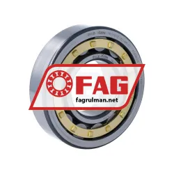 FAG NU310-E-XL-M1-C4