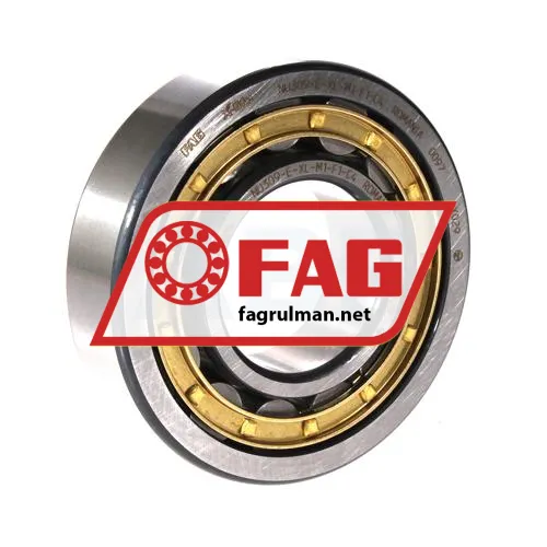 FAG NU309-E-XL-M1-F1-C4