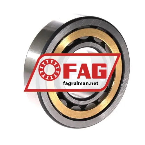 FAG NU309-E-XL-M1-F1-C4 ürün fotoğrafı 2