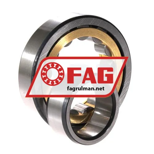 FAG NU309-E-XL-M1-F1-C4 ürün fotoğrafı 3
