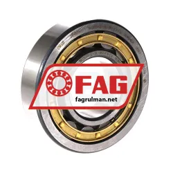 FAG NU309-E-XL-M1-F1-C4
