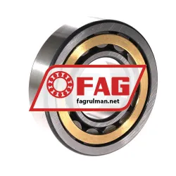 FAG NU309-E-XL-M1-F1-C4 rulman resim 2