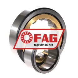 FAG NU309-E-XL-M1-F1-C4 rulman resim 3