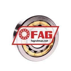 FAG NJ409-XL-M1