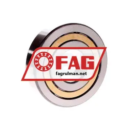 FAG NJ409-XL-M1 rulman resim 3