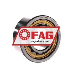 FAG NJ2309-E-XL-M1