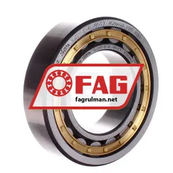 FAG NJ2211-E-XL-M1-C3