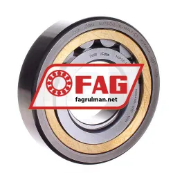 FAG NUP310-E-XL-MPAX-C3