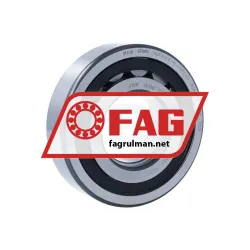 FAG NUP310-E-XL-TVP2-C4