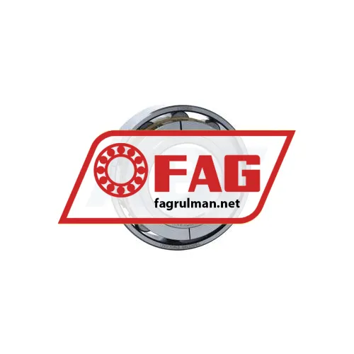 FAG NU317-E-XL-TVP2