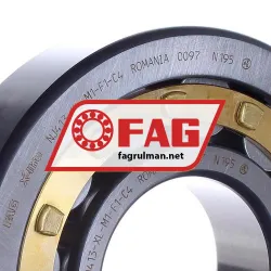 FAG NJ413-XL-M1-F1-C4 rulman resim 2