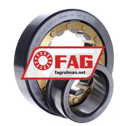 FAG NJ413-XL-M1-F1-C4 rulman resim 3