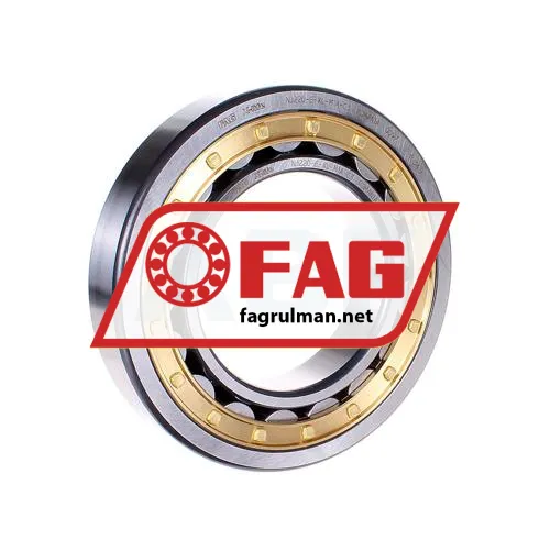 FAG NJ220-E-XL-M1A-C3