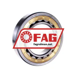 FAG NJ220-E-XL-M1A-C3
