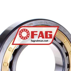 FAG NJ220-E-XL-M1A-C3 rulman resim 2
