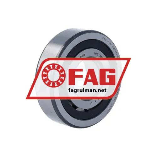 FAG NUP305-E-XL-TVP2-C3