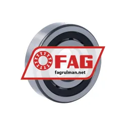 FAG NUP305-E-XL-TVP2-C3 rulman resim 2