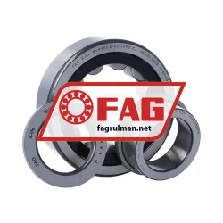 FAG NUP305-E-XL-TVP2-C3 rulman resim 3