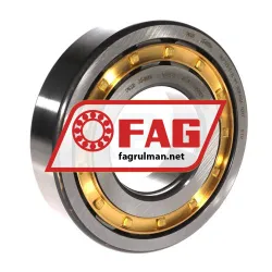 FAG NUP313-E-XL-M1