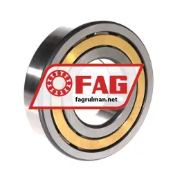 FAG NUP313-E-XL-M1 rulman resim 2
