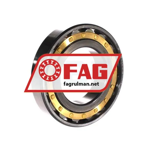 FAG N213-E-XL-M1