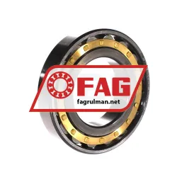 FAG N213-E-XL-M1