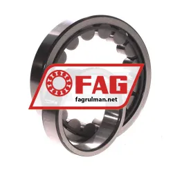 FAG NU213-E-XL-JP3 rulman resim 3