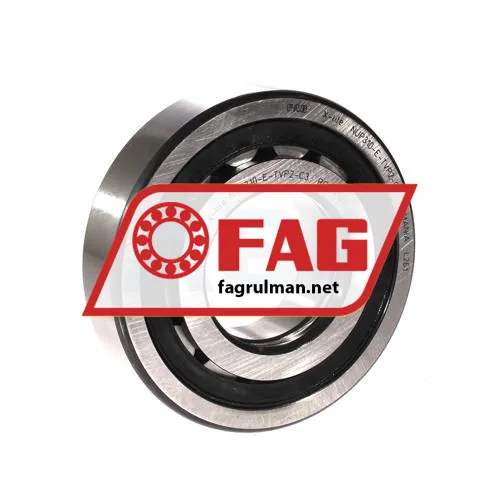 FAG NUP310-E-TVP2-C3