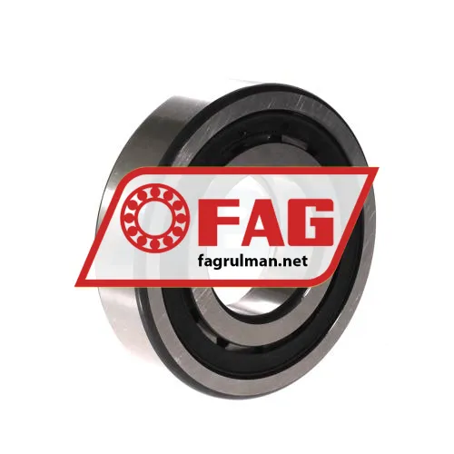 FAG NUP310-E-TVP2-C3 ürün fotoğrafı 2