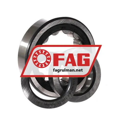 FAG NUP310-E-TVP2-C3 ürün fotoğrafı 3
