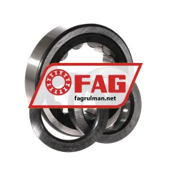 FAG NUP310-E-TVP2-C3 rulman resim 3