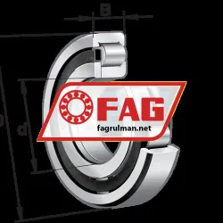 FAG NUP310-E-TVP2-C3 rulman resim 5