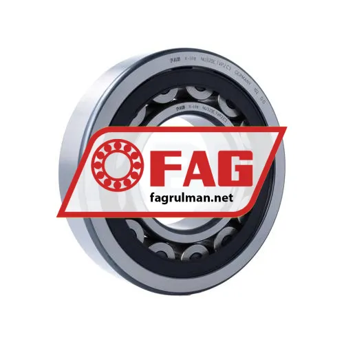 FAG NU320-E-TVP2-C3