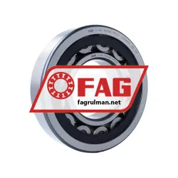 FAG NU320-E-TVP2-C3
