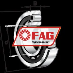 FAG NU320-E-TVP2-C3 rulman resim 4