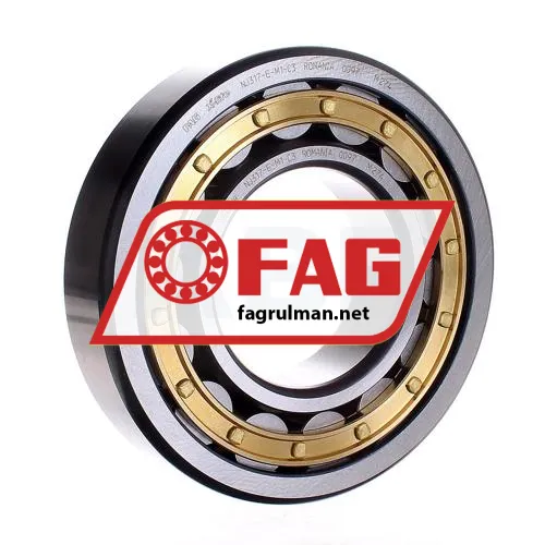 FAG NJ317-E-M1-C3