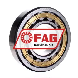 FAG NJ317-E-M1-C3