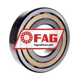 FAG NJ317-E-M1-C3 rulman resim 4
