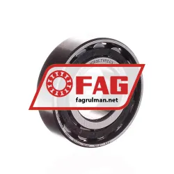 FAG N205E-TVP2-C3