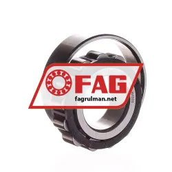 FAG N205E-TVP2-C3 rulman resim 2