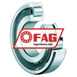 FAG N205E-TVP2-C3 rulman resim 5