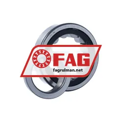 FAG NJ313-E-XL-TVP2-C3