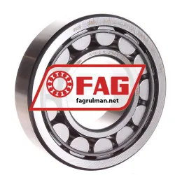 FAG NJ311-E-XL-JP3-C3