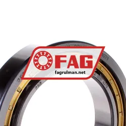 FAG NJ1015-XL-M1 rulman resim 2