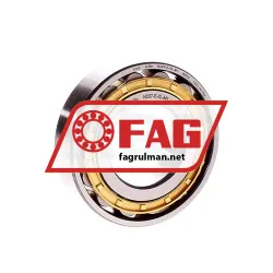 FAG N207-E-XL-M1