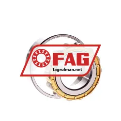 FAG N207-E-XL-M1 rulman resim 2