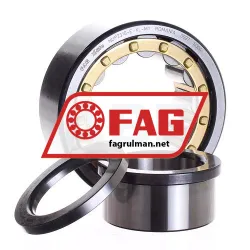 FAG NUP2310-E-XL-M1 rulman resim 3
